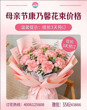 海口琼山区花店母亲节康乃馨花束