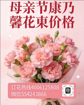 海口琼山区花店母亲节康乃馨花束
